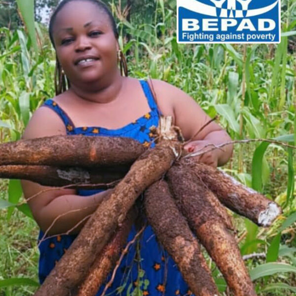 Sécuritaire alimentaire dans le territoire de Kabare, groupement de Bugorhe à Kavumu