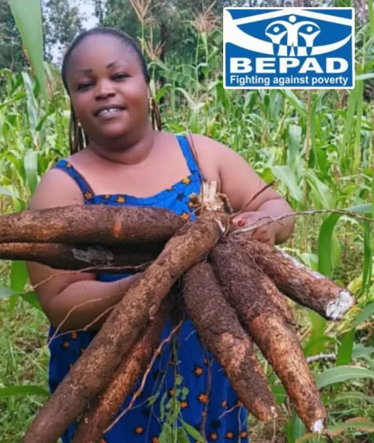 Sécuritaire alimentaire dans le territoire de Kabare, groupement de Bugorhe à Kavumu